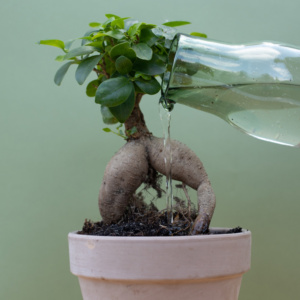 1 op 1 individuele sessie